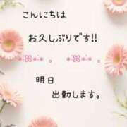 ヒメ日記 2025/04/14 17:23 投稿 つぼみ 丸妻 横浜本店