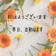 ヒメ日記 2025/04/15 08:07 投稿 つぼみ 丸妻 横浜本店