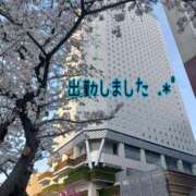 ヒメ日記 2025/04/15 10:28 投稿 つぼみ 丸妻 横浜本店