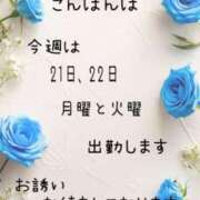 ヒメ日記 2025/04/20 19:47 投稿 つぼみ 丸妻 横浜本店