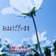 ヒメ日記 2025/05/08 10:28 投稿 つぼみ 丸妻 横浜本店