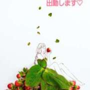 ヒメ日記 2025/05/12 23:30 投稿 つぼみ 丸妻 横浜本店