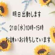 ヒメ日記 2025/05/20 17:31 投稿 つぼみ 丸妻 横浜本店