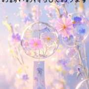 ヒメ日記 2025/06/12 23:11 投稿 つぼみ 丸妻 横浜本店