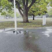 ヒメ日記 2025/08/10 17:47 投稿 つぼみ 丸妻 横浜本店