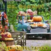 ヒメ日記 2025/09/14 12:33 投稿 つぼみ 丸妻 横浜本店