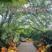 ヒメ日記 2025/09/17 12:55 投稿 つぼみ 丸妻 横浜本店