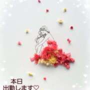 ヒメ日記 2025/10/02 14:01 投稿 つぼみ 丸妻 横浜本店