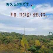 ヒメ日記 2025/10/17 01:15 投稿 つぼみ 丸妻 横浜本店