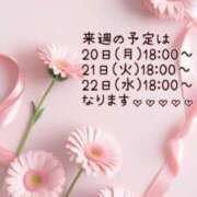 ヒメ日記 2025/10/19 00:10 投稿 つぼみ 丸妻 横浜本店