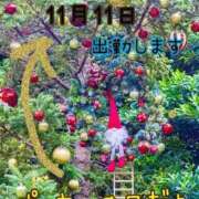 ヒメ日記 2025/11/11 01:25 投稿 つぼみ 丸妻 横浜本店