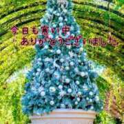 ヒメ日記 2025/11/13 22:54 投稿 つぼみ 丸妻 横浜本店