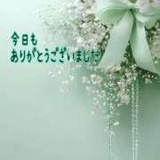 ヒメ日記 2025/11/15 22:43 投稿 つぼみ 丸妻 横浜本店