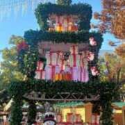 つぼみ 今日もありがとうございました❣️ 丸妻 横浜本店