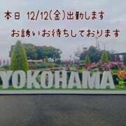 ヒメ日記 2025/12/12 01:44 投稿 つぼみ 丸妻 横浜本店