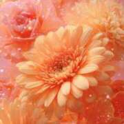 ヒメ日記 2026/01/20 00:19 投稿 つぼみ 丸妻 横浜本店