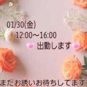 ヒメ日記 2026/01/29 17:54 投稿 つぼみ 丸妻 横浜本店