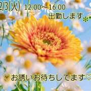 ヒメ日記 2026/02/02 22:02 投稿 つぼみ 丸妻 横浜本店