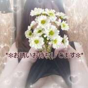 ヒメ日記 2026/02/03 10:00 投稿 つぼみ 丸妻 横浜本店