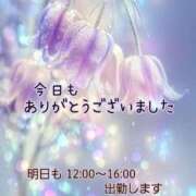 ヒメ日記 2026/02/03 18:30 投稿 つぼみ 丸妻 横浜本店
