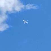 ヒメ日記 2026/02/04 10:14 投稿 つぼみ 丸妻 横浜本店