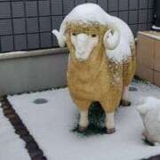 ヒメ日記 2026/02/09 13:18 投稿 つぼみ 丸妻 横浜本店