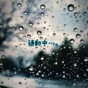 ヒメ日記 2026/02/11 11:31 投稿 つぼみ 丸妻 横浜本店