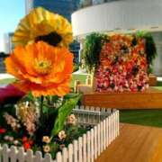 ヒメ日記 2026/02/12 21:14 投稿 つぼみ 丸妻 横浜本店