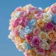 ヒメ日記 2026/02/14 12:50 投稿 つぼみ 丸妻 横浜本店