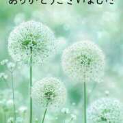 ヒメ日記 2026/02/18 00:31 投稿 つぼみ 丸妻 横浜本店