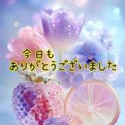 つぼみ おやすみなさい🌛*゜ 丸妻 横浜本店