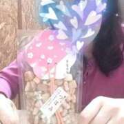 ヒメ日記 2026/03/08 02:11 投稿 つぼみ 丸妻 横浜本店