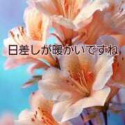 ヒメ日記 2026/03/12 15:54 投稿 つぼみ 丸妻 横浜本店