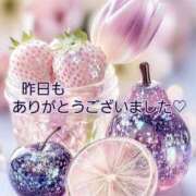 ヒメ日記 2026/03/13 13:29 投稿 つぼみ 丸妻 横浜本店