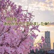 ヒメ日記 2026/03/18 23:43 投稿 つぼみ 丸妻 横浜本店