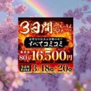 ヒメ日記 2026/03/20 11:44 投稿 つぼみ 丸妻 横浜本店