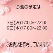 ヒメ日記 2026/04/06 07:06 投稿 つぼみ 丸妻 横浜本店