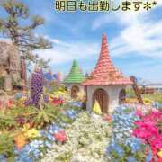 ヒメ日記 2026/04/08 23:49 投稿 つぼみ 丸妻 横浜本店