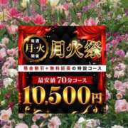 ヒメ日記 2026/04/14 12:15 投稿 つぼみ 丸妻 横浜本店