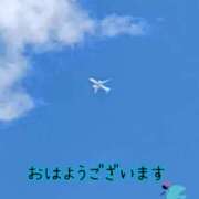 つぼみ 春は何処へ… 丸妻 横浜本店