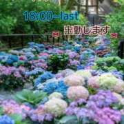 ヒメ日記 2026/06/10 23:39 投稿 つぼみ 丸妻 横浜本店
