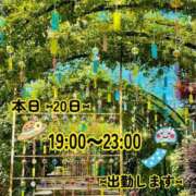 ヒメ日記 2026/07/20 11:46 投稿 つぼみ 丸妻 横浜本店