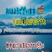 ヒメ日記 2026/07/29 06:53 投稿 つぼみ 丸妻 横浜本店