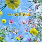 ヒメ日記 2026/10/11 13:44 投稿 つぼみ 丸妻 横浜本店