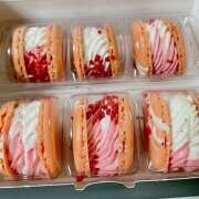 ヒメ日記 2025/03/17 09:17 投稿 佐藤はなこ クラリスDAO