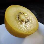 ヒメ日記 2025/06/02 10:06 投稿 北沢(きたざわ) Ageha（あげは）