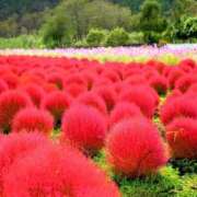 ヒメ日記 2025/10/19 10:00 投稿 北沢(きたざわ) Ageha（あげは）