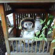 北沢(きたざわ) おはようございます。。。 Ageha（あげは）