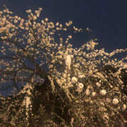 ヒメ日記 2026/02/16 09:56 投稿 北沢(きたざわ) Ageha（あげは）