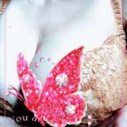 ヒメ日記 2026/04/08 10:01 投稿 北沢(きたざわ) Ageha（あげは）